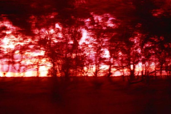Photographie paysage Australie rouge forêt